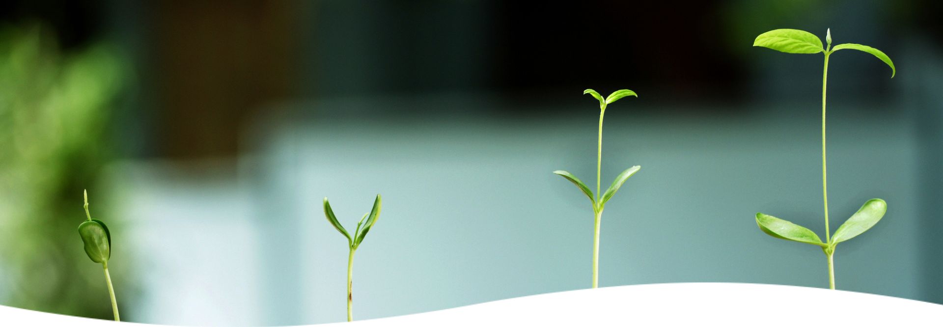 Curso de sustentabilidad y medio ambiente de TÜV Rheinland Curso de sustentabilidad y medio ambiente de TÜV Rheinland